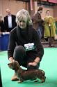 Crufts2011_2 1257